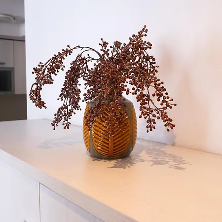 公寓 Con Garaje En 巴拉卡